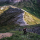 Image for article titled Hunting Alaska's Most Elusive Big Game